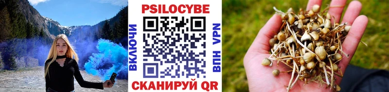 что такое наркотик  Кодинск  Галлюциногенные грибы мухоморы 